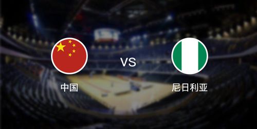 中国vs尼日利亚解说版
