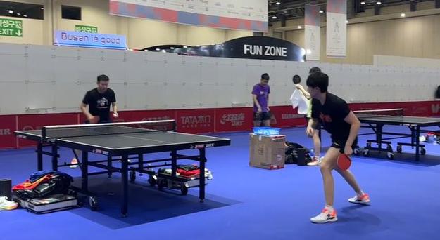 今日乒乓球比赛直播视频
