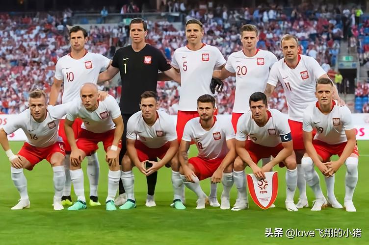 波兰国家队阵容
