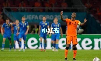 直播:荷兰VS奥地利